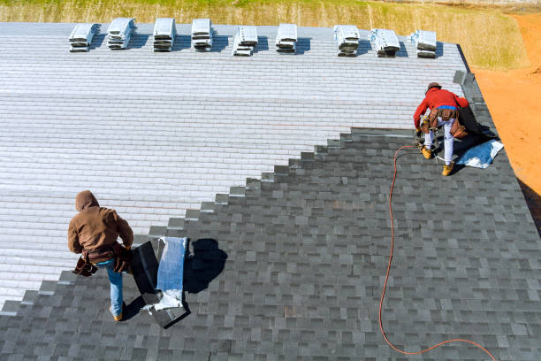 Best Roof Waterproofing Services  in Delft Colony, CA