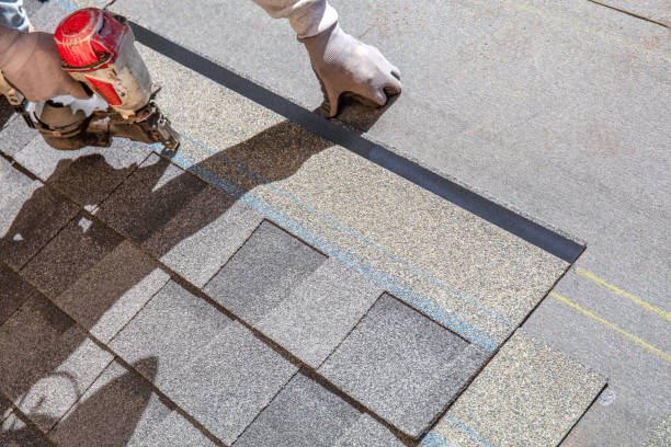 Best Metal Roofing Contractor  in Delft Colony, CA
